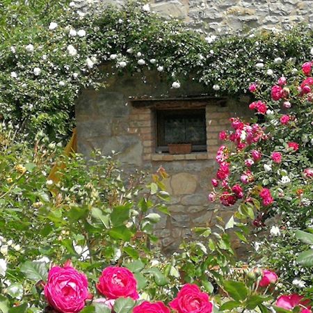 Ca Di Minu Villa Tarzo Bagian luar foto