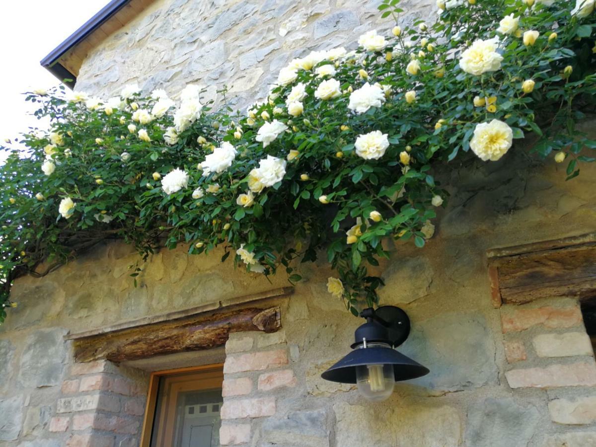 Ca Di Minu Villa Tarzo Bagian luar foto